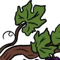 Régions et cépages